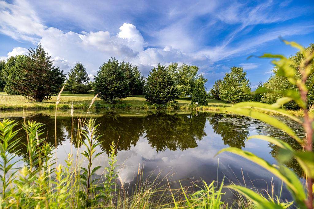 A pond reflecting clouds, ringed by grass and trees.